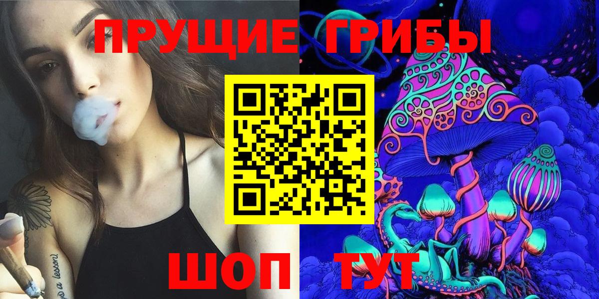 Россия  Псилоцибиновые грибы Magic Shrooms  Вход с VPN 