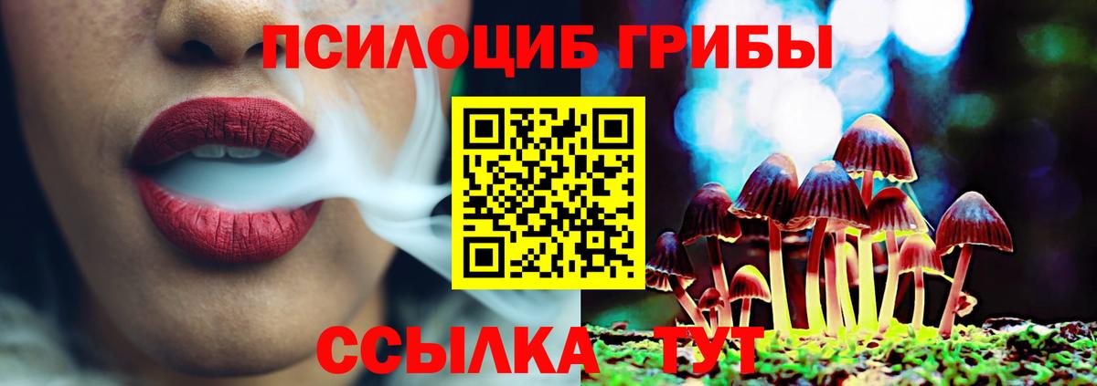 Галлюциногенные грибы GOLDEN TEACHER Россия